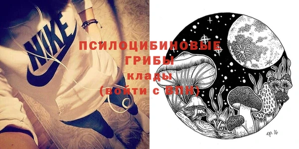таблы Богородицк