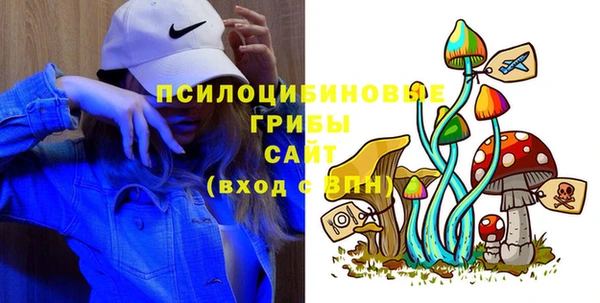 СК Белокуриха