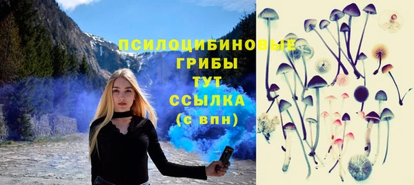 СК Белокуриха