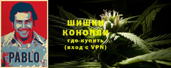 трава Протвино